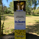 INCENSO OLÍBANO - Caixa 200 Varetas
