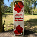 INCENSO ATRATIVO DO AMOR - Caixa 200 Varetas