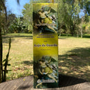 INCENSO ANJO DA GUARDA - Caixa 200 Varetas