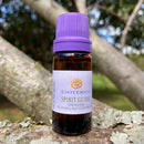 ESSÊNCIA - Spirit guide