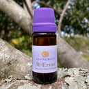 ESSÊNCIA - 30 Ervas