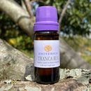 ESSÊNCIA - Tranca rua