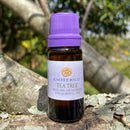 ESSÊNCIA - Tea tree