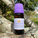 ESSÊNCIA - 30 ervas c/ sal grosso