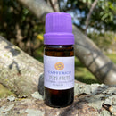 ESSÊNCIA - Tuti Fruti