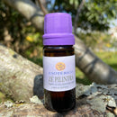 ESSÊNCIA - Zé Pilintra