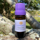 ESSÊNCIA - Chama dólar