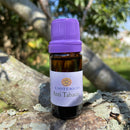 ESSÊNCIA - Anti tabaco