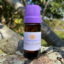 ESSÊNCIA - Bebê e carinho