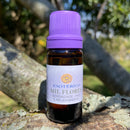 ESSÊNCIA - Mil flores