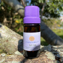 ESSÊNCIA - Milefólio