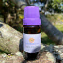 ESSÊNCIA - Naga Champa