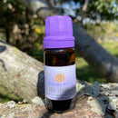 ESSÊNCIA - Nossa Sra. Aparecida