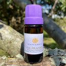 ESSÊNCIA - Olíbano