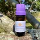 ESSÊNCIA - Onze pimentas