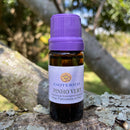 ESSÊNCIA -  Pinho vert