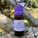 ESSÊNCIA - Quebra demanda