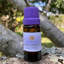 ESSÊNCIA - Rosa amarela