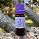 ESSÊNCIA - Rosa