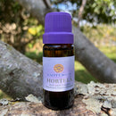 ESSÊNCIA - Hortelã