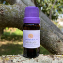 ESSÊNCIA - Jaborandi