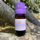 ESSÊNCIA - Kama sutra - Homem