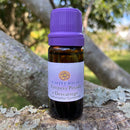 ESSÊNCIA - Limpeza pesada e descarrego