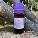 ESSÊNCIA - Madeira do oriente