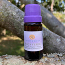 ESSÊNCIA - Maçã verde