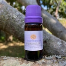 ESSÊNCIA - Madressilva