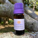 ESSÊNCIA - Manjerona