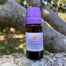 ESSÊNCIA - Alfazema